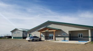 alamosa alpine vet hospital 2