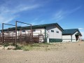 alamosa alpine vet hospital 5