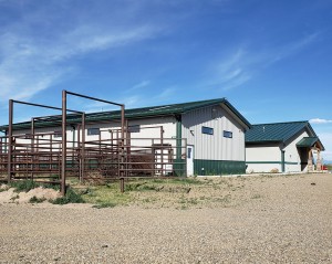 alamosa alpine vet hospital 5