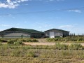 alamosa alpine vet hospital 6