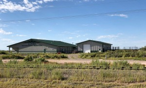 alamosa alpine vet hospital 6