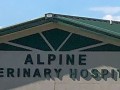 alamosa alpine vet hospital 7