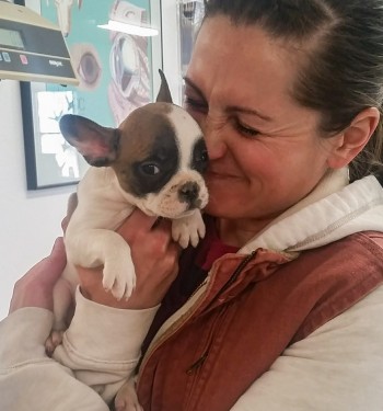 colorado puppy vet