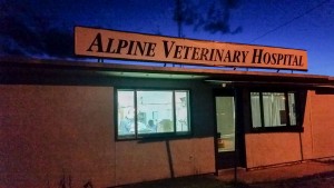 colorado veterinarian 2