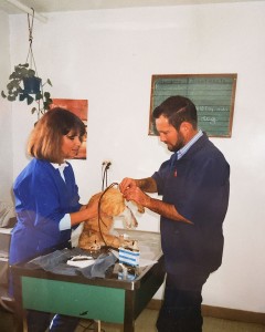 colorado veterinarian 5