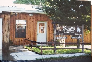 colorado veterinarian 6