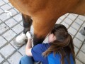 equine vet 11