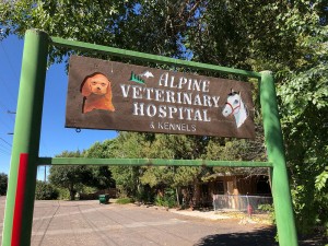 monte vista alpine vet hospital 1